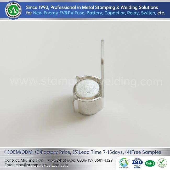 EV Bolt Type Fuse Cap