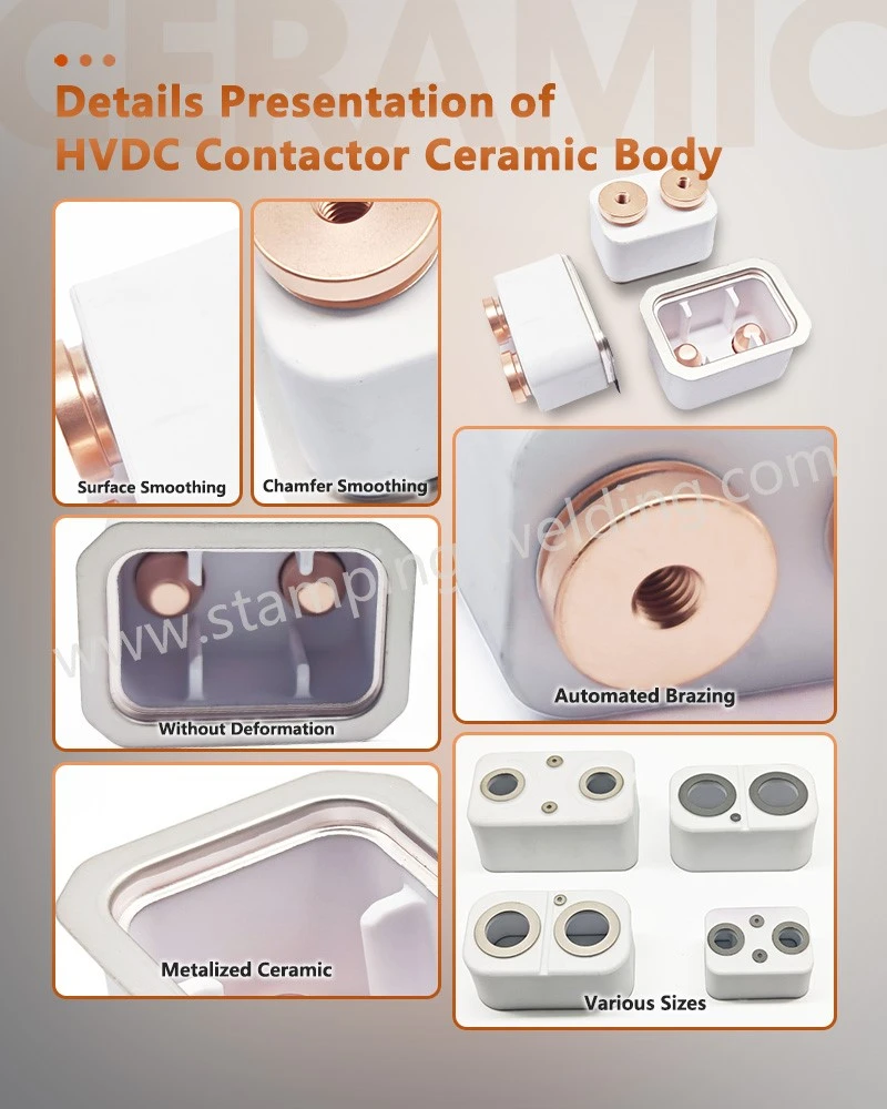 Details Presentation of metallized ceramic components Details Presentation of metallized ceramic components